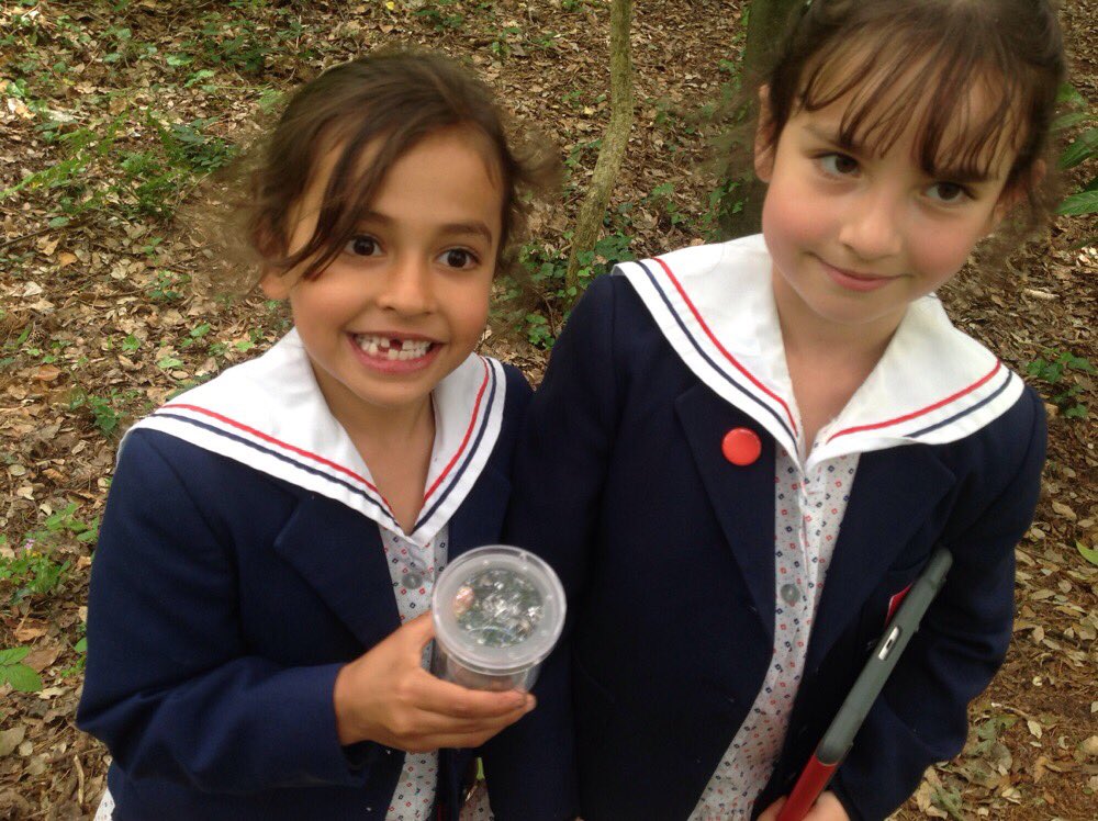 THSch_PrePrep's tweet photo. Spot the mini beasts! #thy1 #thprep #thscience https://t.co/wktzxwlPdm