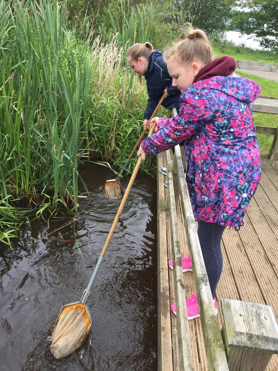 AGSGeog's tweet photo. Some more photos of Yr8's Lough Neagh trip today... https://t.co/9qqSfGkGRH