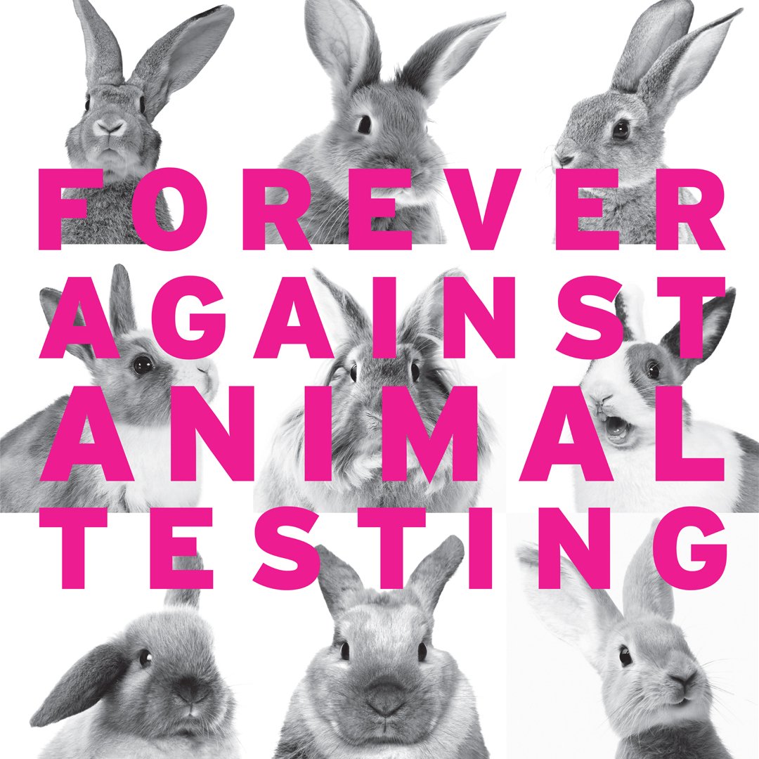 TheBodyShopFR's tweet photo. Nous avons déjà récolté de nombreuses signatures pour notre pétition ! Et vous l'avez-vous signée ? #Foreveragainstanimaltesting https://t.co/VfERlWqc9s