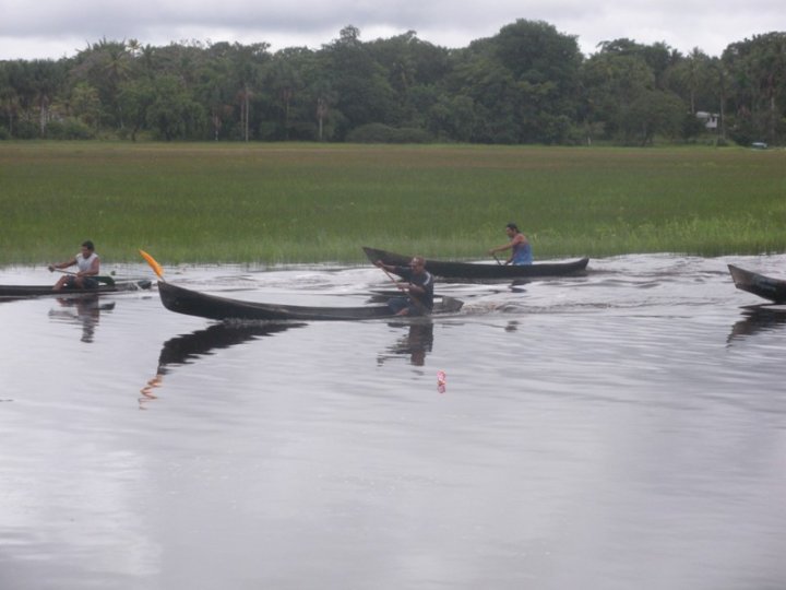 daytodaytours's tweet photo. #Moruca is home to a number of #Guyana’s #fascinating #ecotourism wonders: numerous bird species, #endangeredspecies of #turtles https://t.co/qBgO7BYgDG