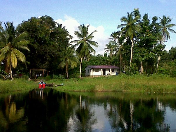 daytodaytours's tweet photo. #Moruca is home to a number of #Guyana’s #fascinating #ecotourism wonders: numerous bird species, #endangeredspecies of #turtles https://t.co/qBgO7BYgDG