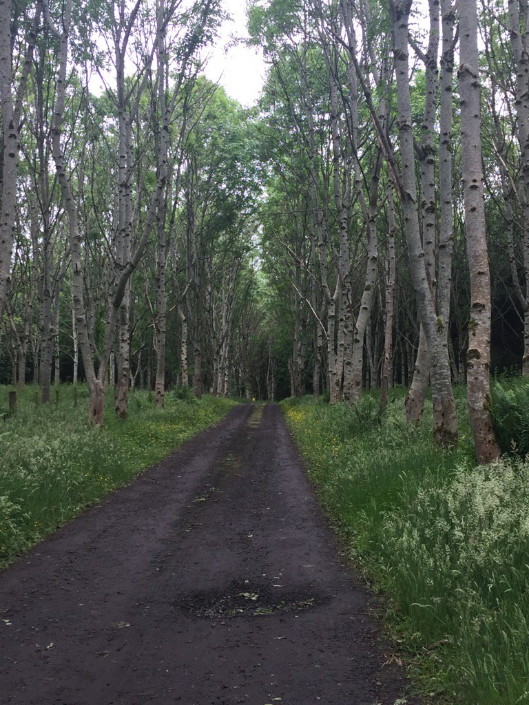 ShawAnnshaw's tweet photo. Approaching #NorthlandHouse for #Artbeat. #Venue48 . Magnificent! #Forthvalleyartbeat. https://t.co/I70WBM71hM