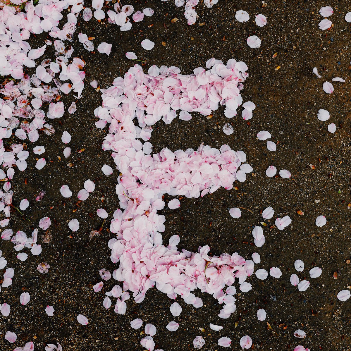 vsco's tweet photo. Back to the basics โ view individual letters and numbers on the #typeinthewild collection. https://t.co/EPvx1vnhFA
Image by sesandy https://t.co/OP1CBiXJKn