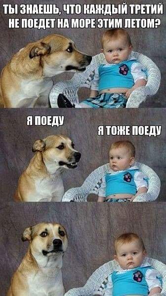 Про собачек (@porrroda) on Twitter photo 