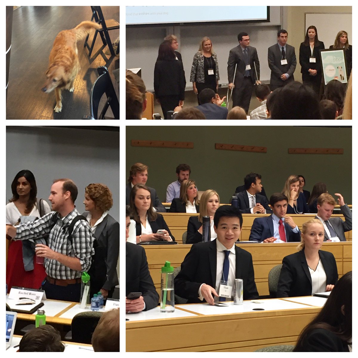 VUAccelerator's tweet image. It&apos;s the first presentation day of the summer! Teams are presenting ideas to executives from @redpepper and @MarsPetcareUS #Accelerator2017