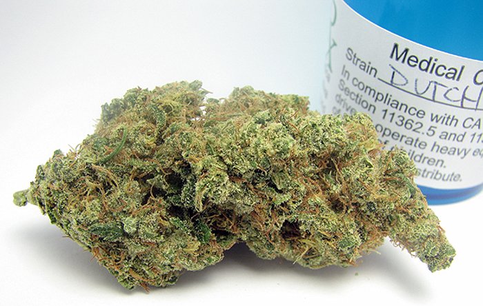 Society_420's tweet photo. Dutch Treat || Hybrid || #DailyStrain
#NugPorn | #Trichomes | #StayHigh https://t.co/6Q9njnrpfl