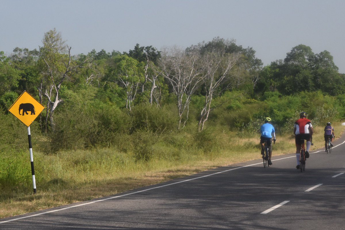 cycle_lanka's tweet photo. https://t.co/e9T5dnMluX
