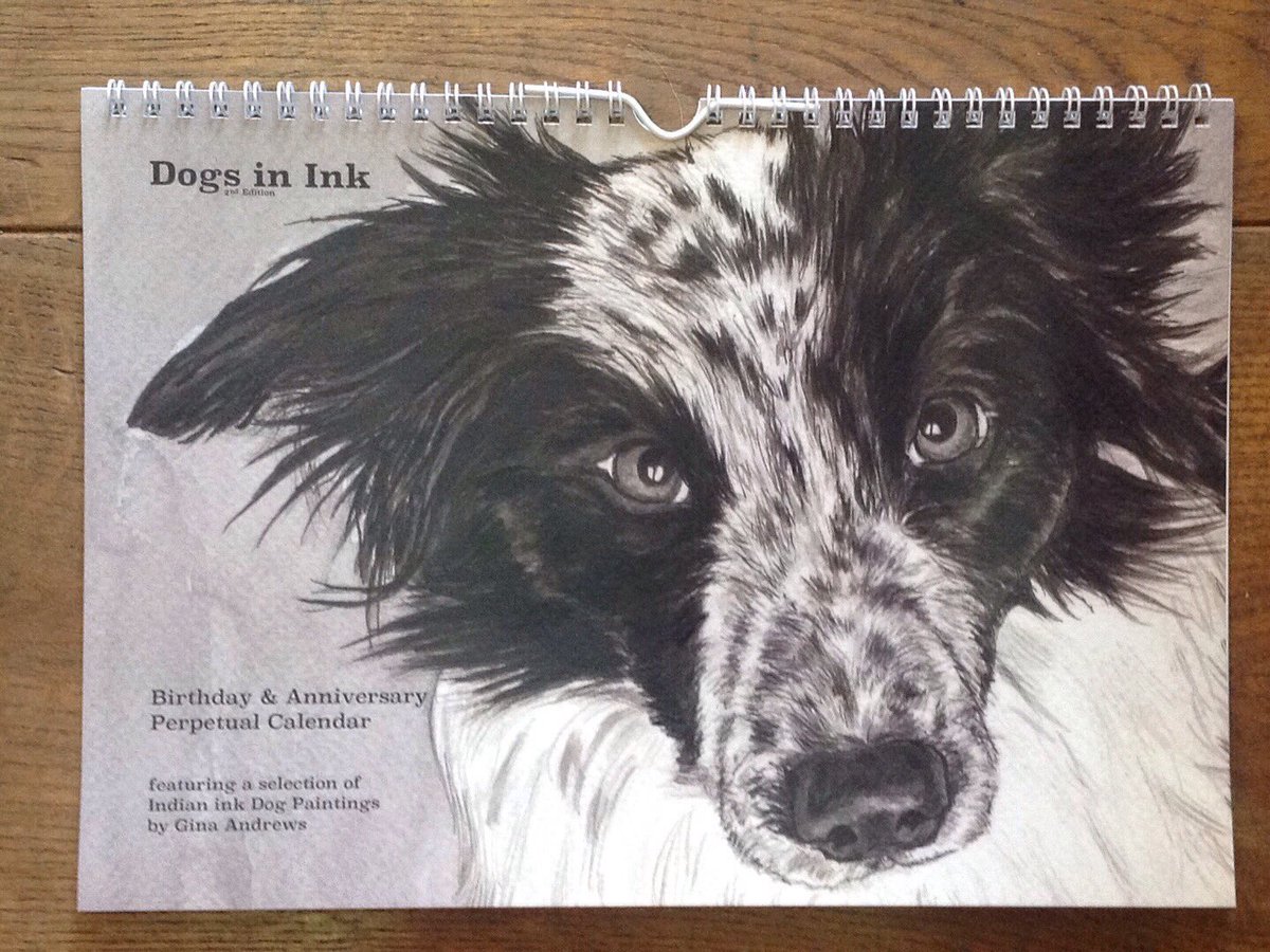 Zak the Collie Dog tweet media