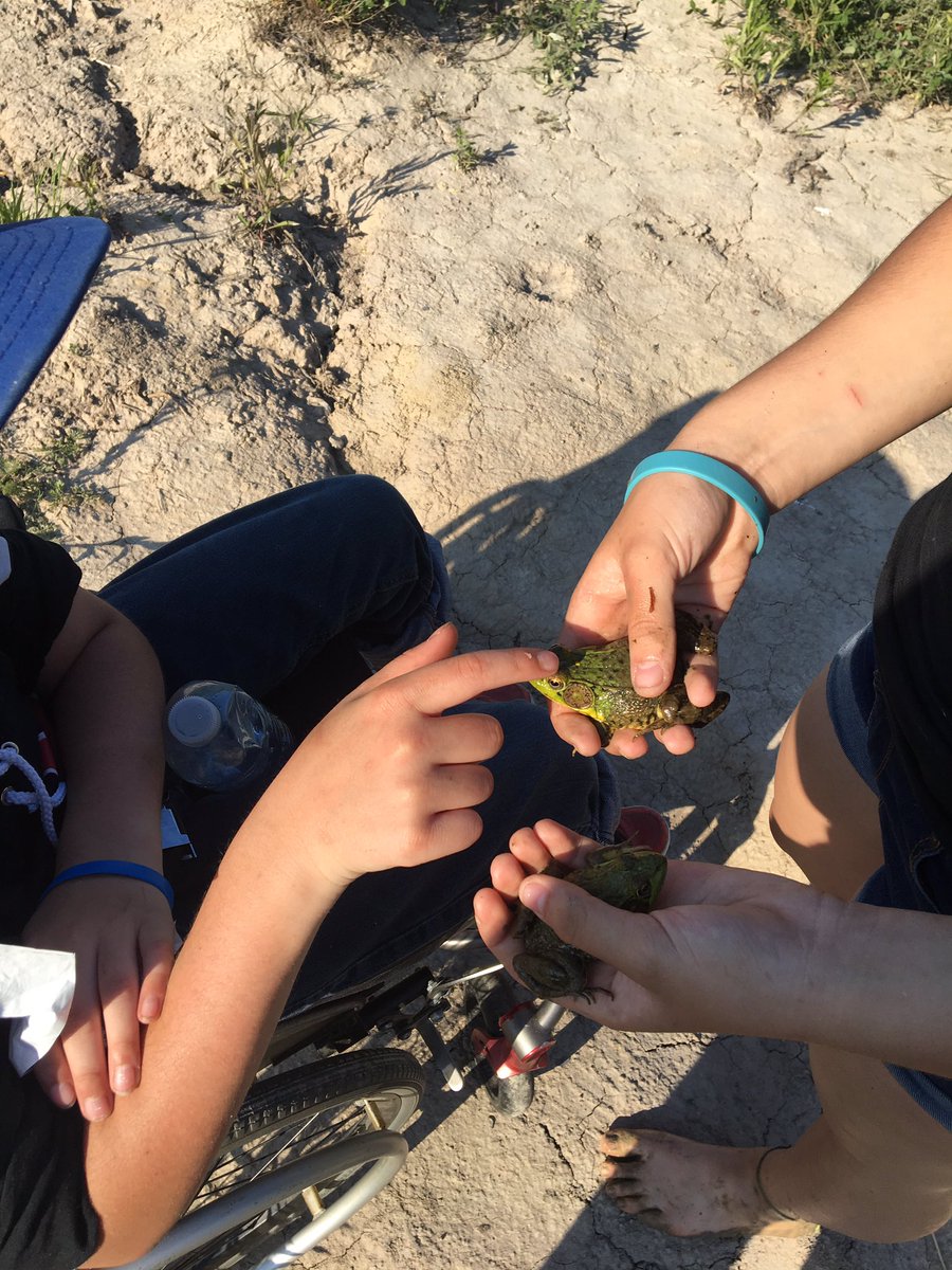 tuttifruittyMsN's tweet photo. Checking out the ecosystem 🐢🐸 https://t.co/jaIsYeb4Co