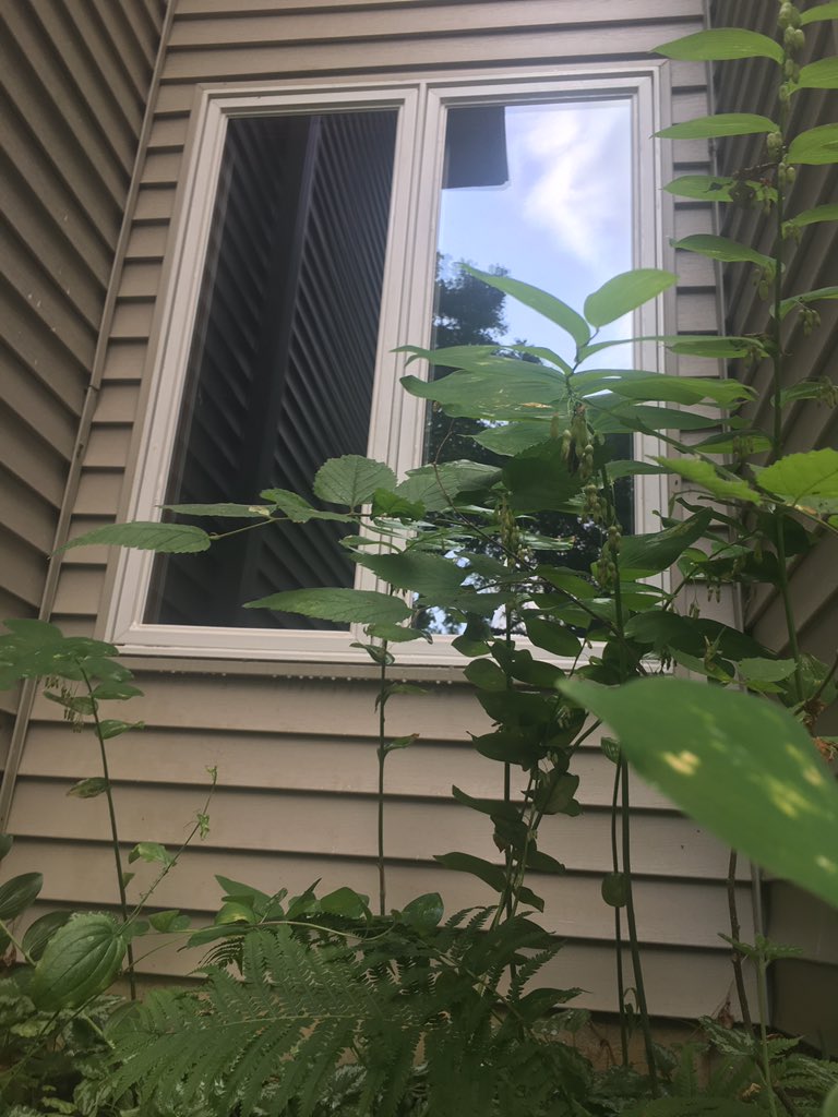 WindowsBdm's tweet image. 