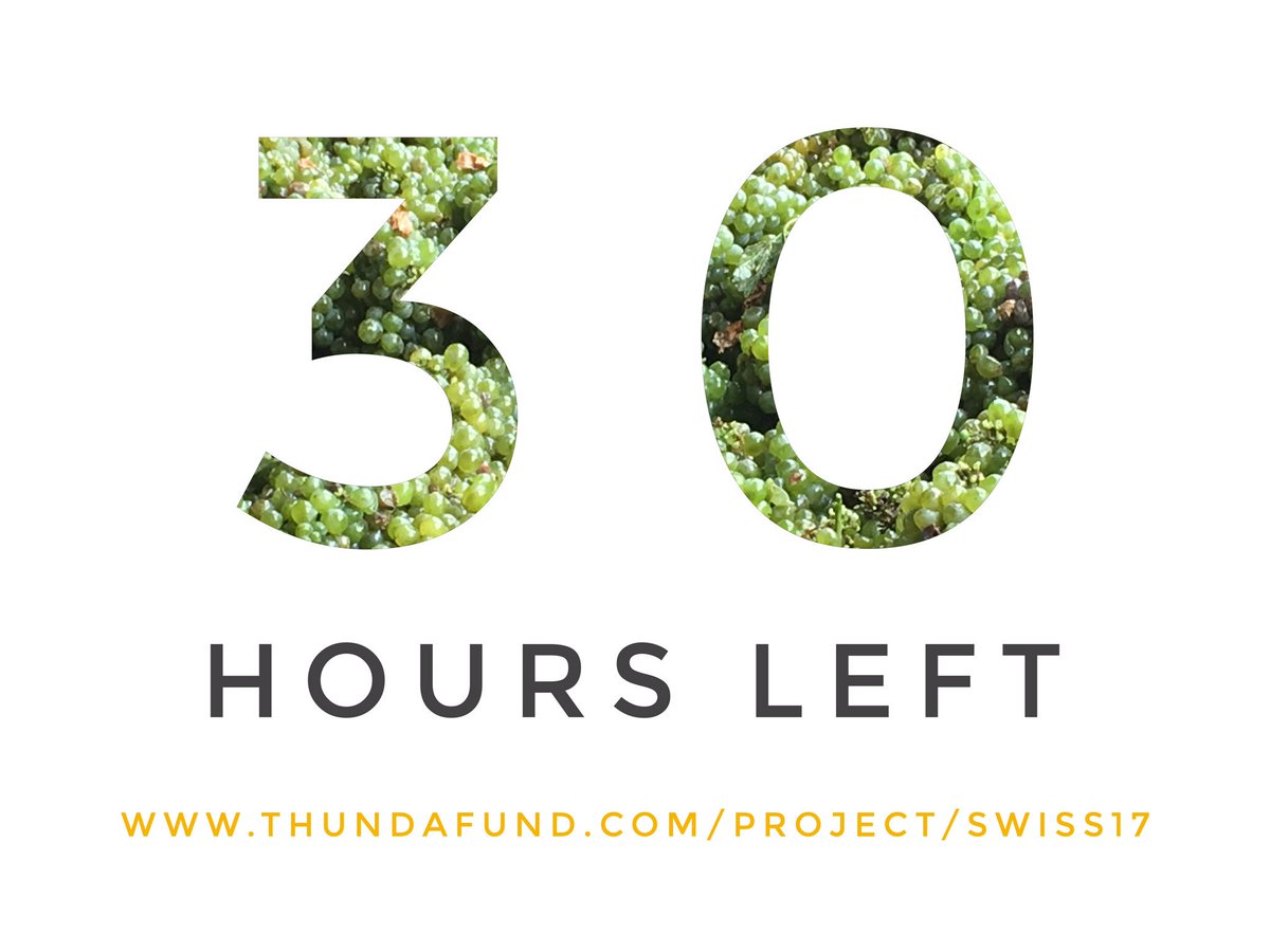 We are counting down the hours. 
thundafund.com/project/swiss17
<a href="/Thundafund/">Thundafund</a>