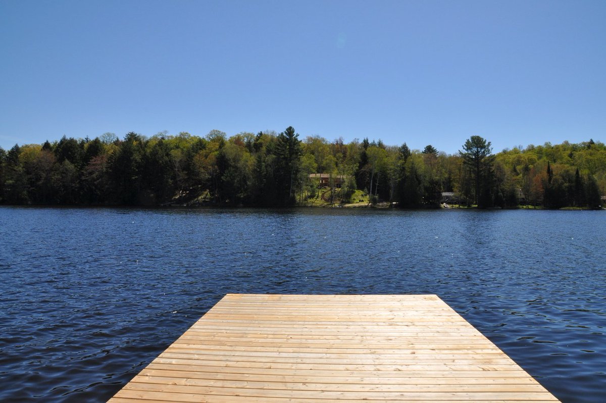 Cottage_ON's tweet photo. What are you waiting for? It's #docktime! This newly listed cottage is ready for your next family vacation! https://t.co/DXXw5vgV0r https://t.co/s0lgr30tB4