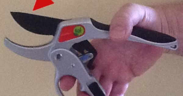 gardenerfriends's tweet photo. The TGF ratchet pruners features series with Coated Hardened Steel Blade
https://t.co/RVnBfQFBrl
#ratchet #pruner #pruning #grden https://t.co/Crdbu9Y4Yb