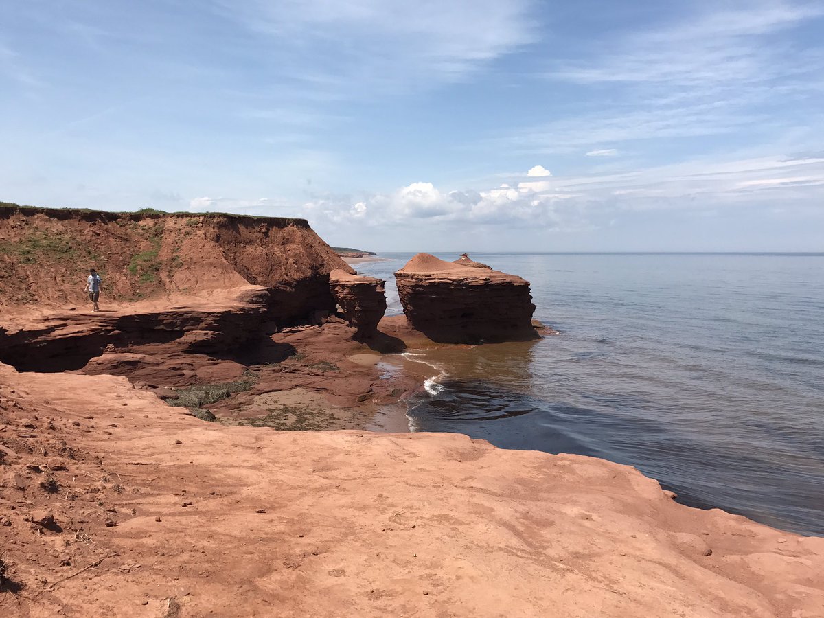 nchanpath's tweet photo. #CAPACP2017 #wupath. Beautiful pei https://t.co/zHrEg47rPA