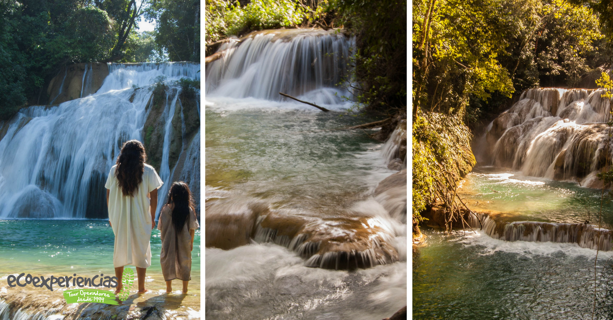 ECOEXPERIENCIAS. CHS tweet media