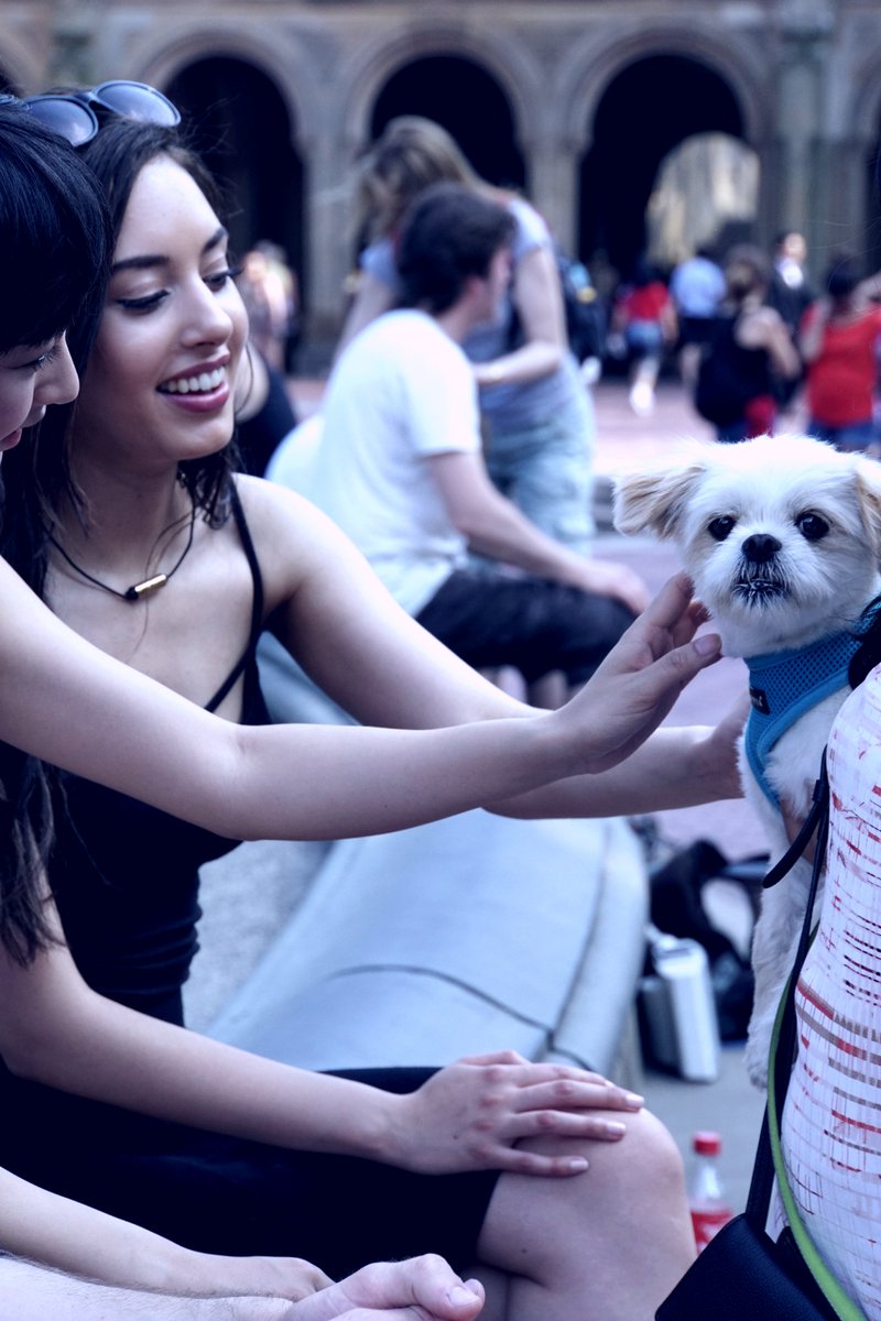 hellorozebuds's tweet photo. Bc how cute is that puppy?! and Nathalie's #Rozebuds aren't that bad either. 9 days left to pre-order on #Kickstarter (puppy not included). https://t.co/whTgOI4kXK