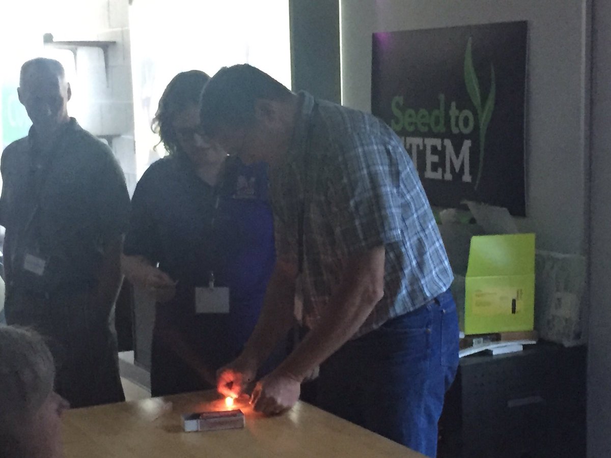 Maize High FFA tweet media