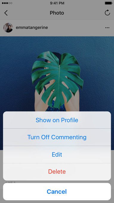 View image on Twitter