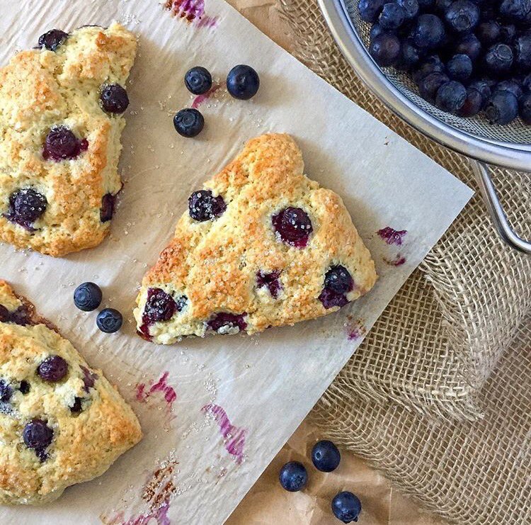 paperchef's tweet photo. Where's your #PaperChef #Parchment?

#Scone it babyyy in a blueberry way!

📸: @momifer

https://t.co/dDrseX3iC8 https://t.co/oBF5Beivx7