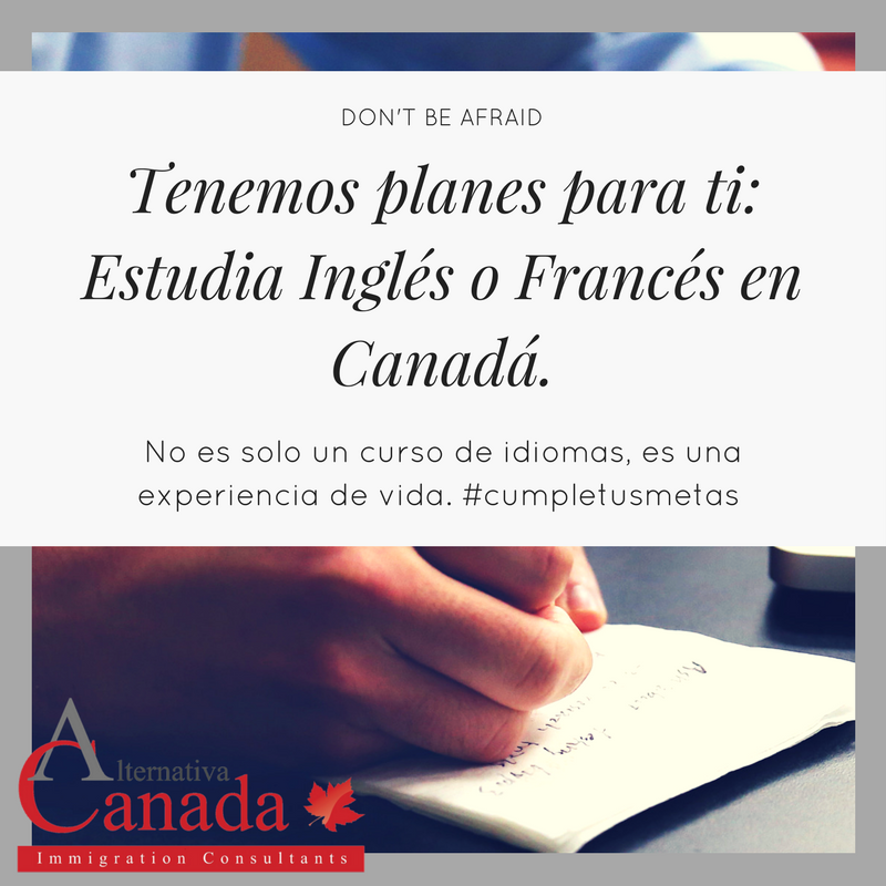 altcanada's tweet photo. Gente linda Latinoamericana. Estamos listos para ayudarte. Y tu, estas listo? #cumpletusmetas #chooseAC https://t.co/2NJbc9kfCj