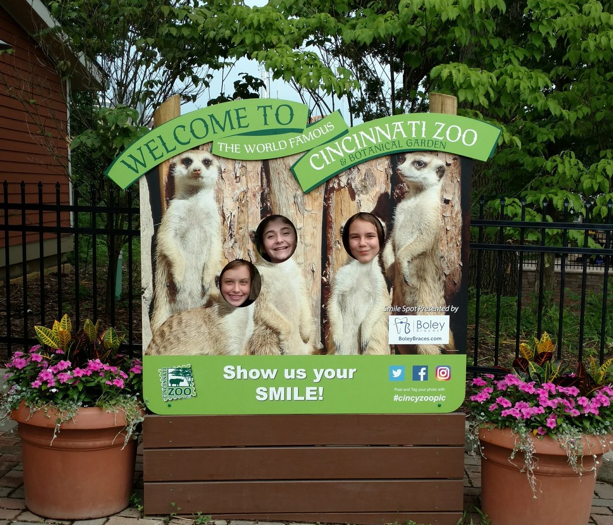 Troop48070's tweet photo. Dropping off a ton of cell phones for @CincinnatiZoo #savingspecies!  &amp; grabbing a #cincyzoopic ;) @GirlScoutsWOH https://t.co/Z88etKsEcE