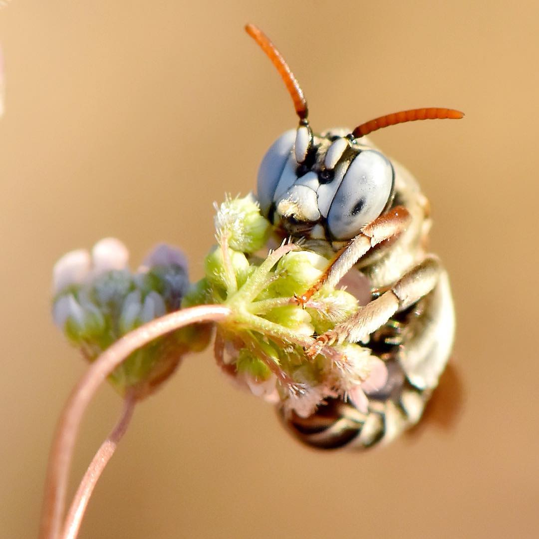 da8tii's tweet image. photo by :#Seyyed Ali Dashti 
.Edited by Enlight App.
1/160 sec at f/13,ISO 500 ,105mm .
#vscocam #VSCO 
#lenz #Nikon