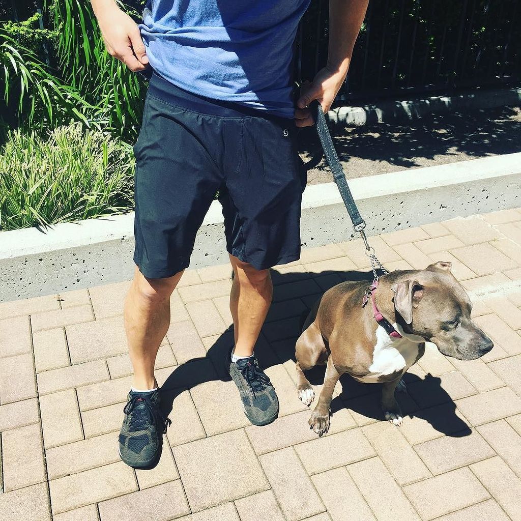 gosportit's tweet photo. A sneak peak of our brand new men's line of shorts! 😯😃💪🏼 ... coming Soon .
.
.
#gosportit #mensshorts #activewear … https://t.co/na1ILmV1zN https://t.co/0wfvqUmAWt