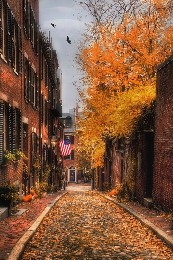 JoannVitali's tweet photo. Acorn St. Art Prints by Joann Vitali https://t.co/zgqVgt6dvI #AcornSt #BeaconHill #Boston #architecture https://t.co/KACXVCAgDE