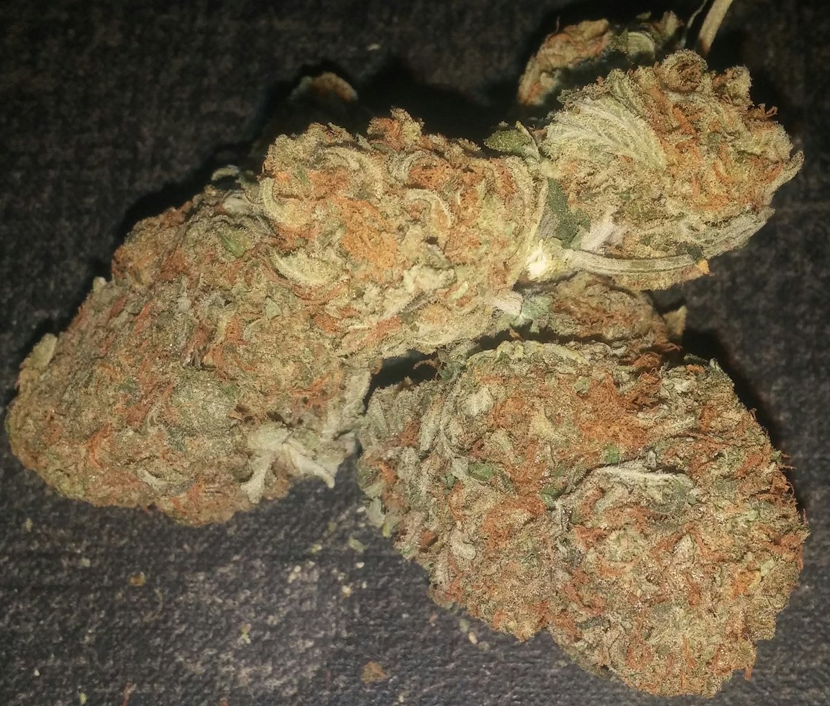 weedisit2016's tweet photo. Larry OG https://t.co/WEz9ijzcuu