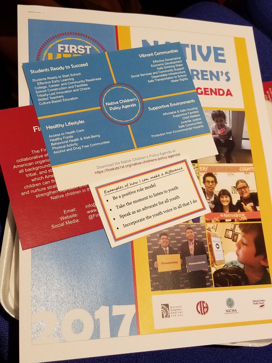 GreatLakesITC's tweet photo. Check out @FirstKids1st Native children's policy guide https://t.co/z7fcUgSANg