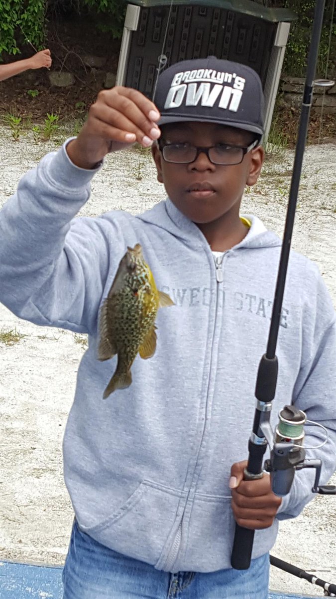 StackFishDotCom tweet picture