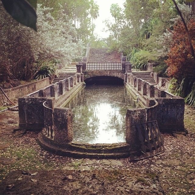 unfoundhouse's tweet photo. A reflection pool being reclaimed by nature, do you think it looks better this way?... https://t.co/BKtRe3NtwA