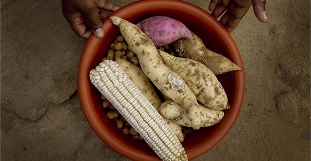 GrainSA's tweet photo. Voedselsekerheidstoestande vererger in sentrale/oos Afrika via @Bizcommunity #GrainSA #foodsecurity #agriculture https://t.co/9KiWGTxauE https://t.co/76mo1Ov3AS