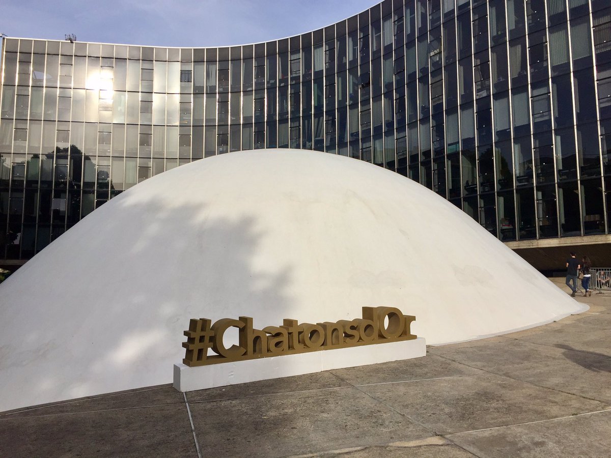 WilliamsonFx's tweet photo. Golden Network, partenaire des Chatons d'Or 2017 #chatonsdor #letsronron https://t.co/N3SP0D87p4
