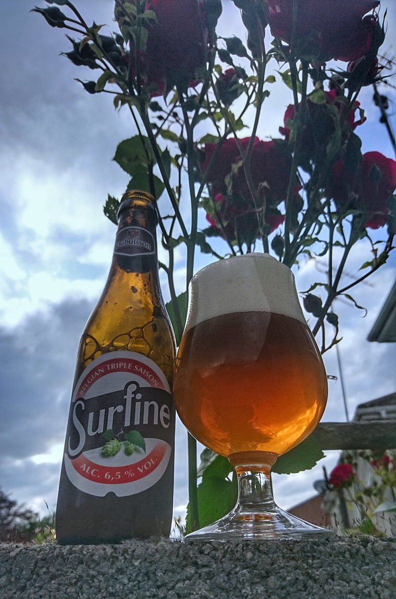 irishbeersnob's tweet photo. And we are go. Our final Saison @thebeerclub_ie we have @BrDubuisson with us. Get pouring everyone #beerclubie https://t.co/amv5LjKJUm
