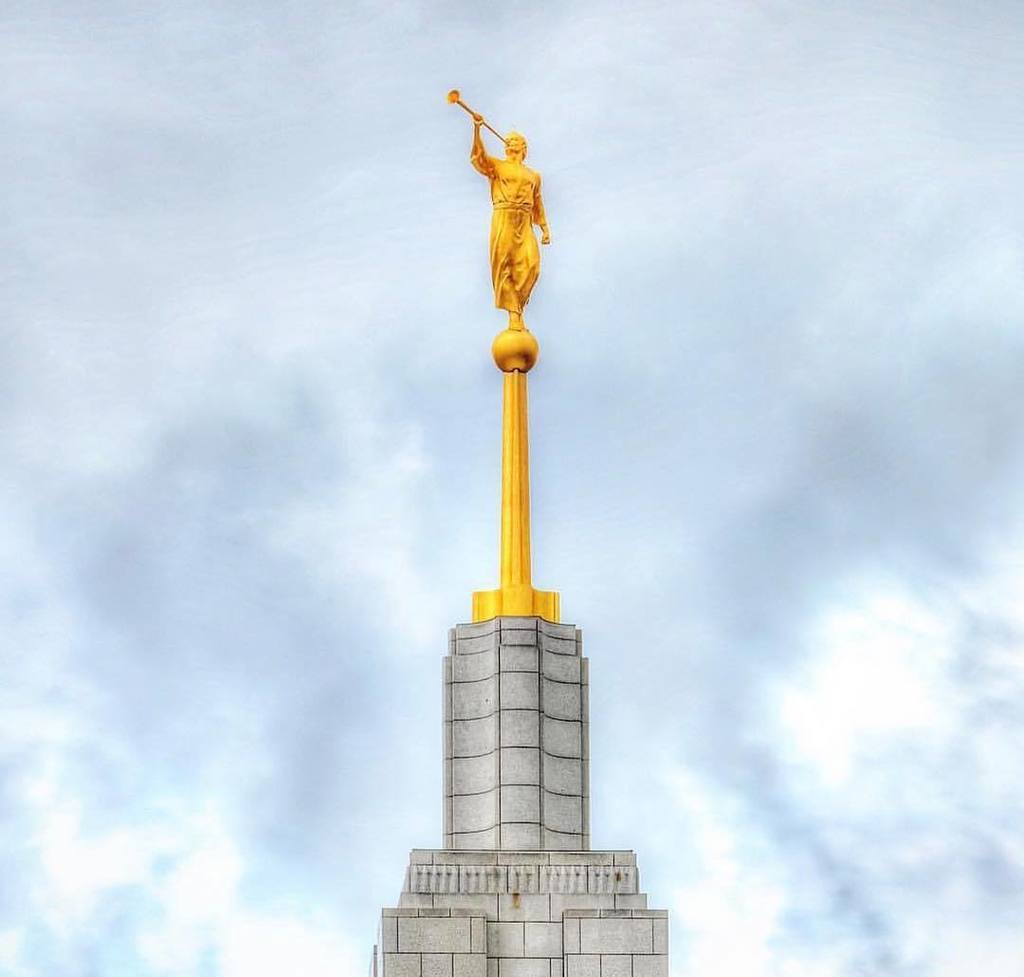 onetempleaday's tweet photo. Draper, Utah
PC: @kwoodyldstemples
#ldstemples #ldstempleaday #ldschurch #lds #drapertemple #mormon #mormontemple https://t.co/hyWEGLqsZ3 https://t.co/E0puWD0B14