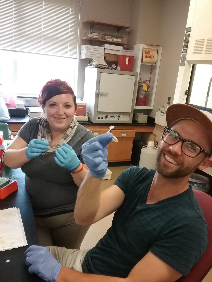 MartineBotany's tweet photo. New #Bucknell student Stephanie Harper getting trained in DNA extraction by @jaecan808 today #becauseplants. #CCSP #science! https://t.co/TnkIR53wQd