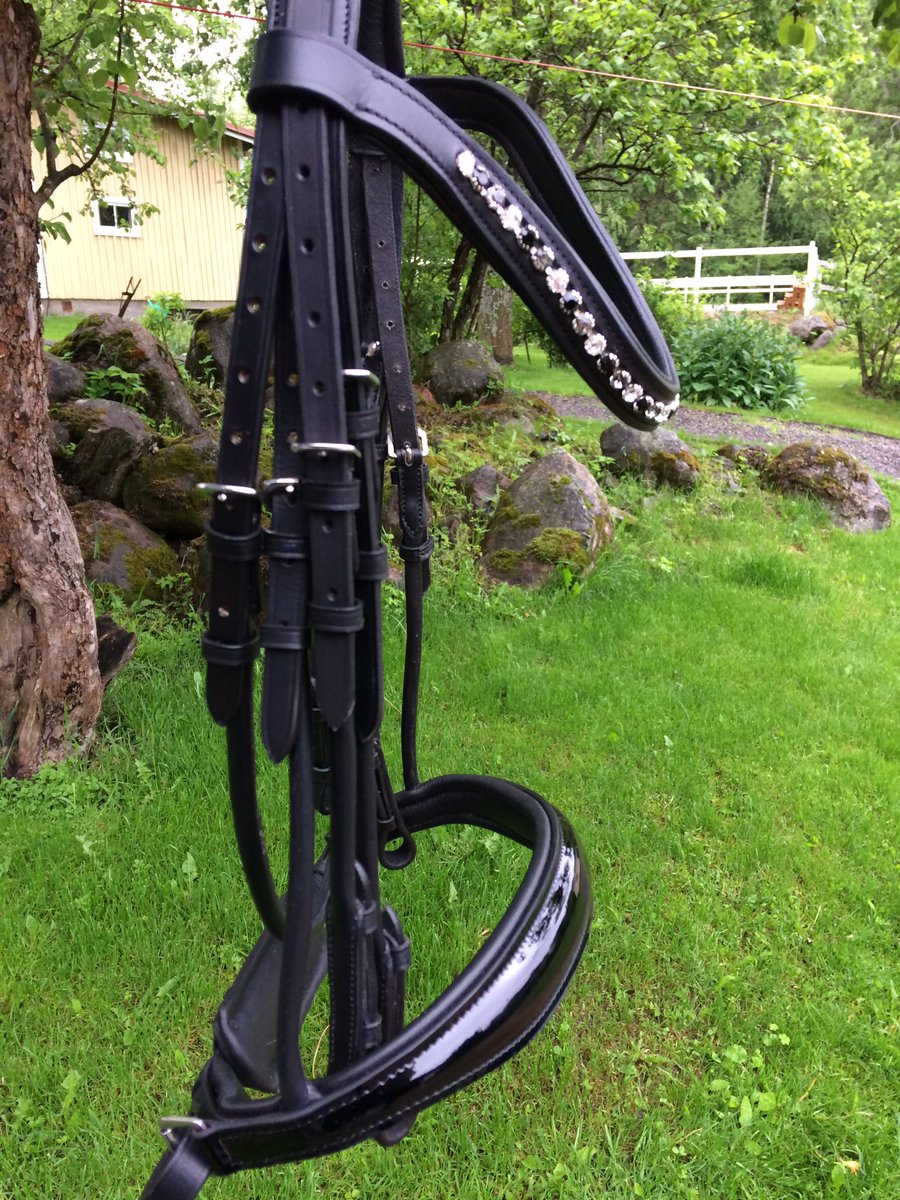 My new double bridle from <a href="/Equiware/">Equiware UK</a> arrived today!! How pretty ✨✨✨ #247equestrian #PonyHour