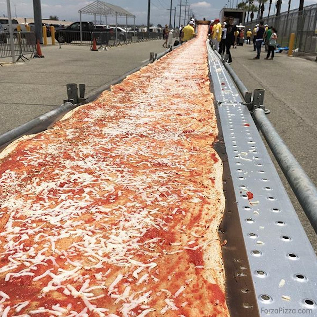 Image result for longest pizza