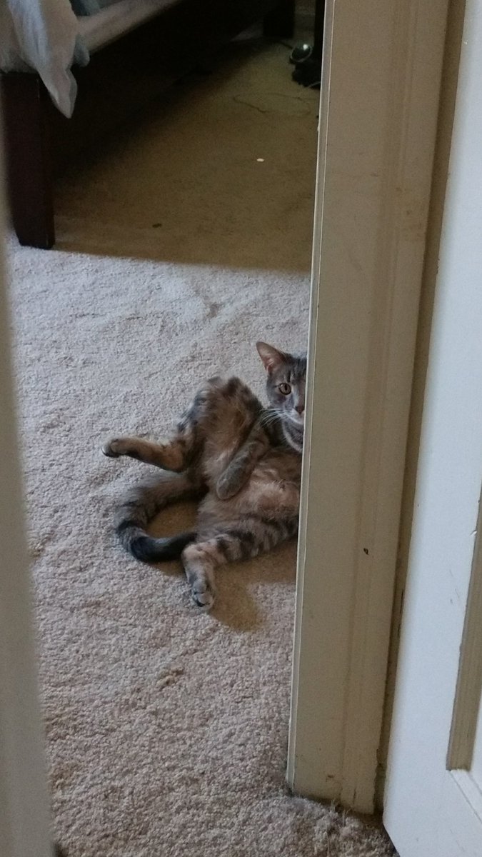 BetterOnFilmm's tweet photo. Caught red handed https://t.co/TE786kyulB