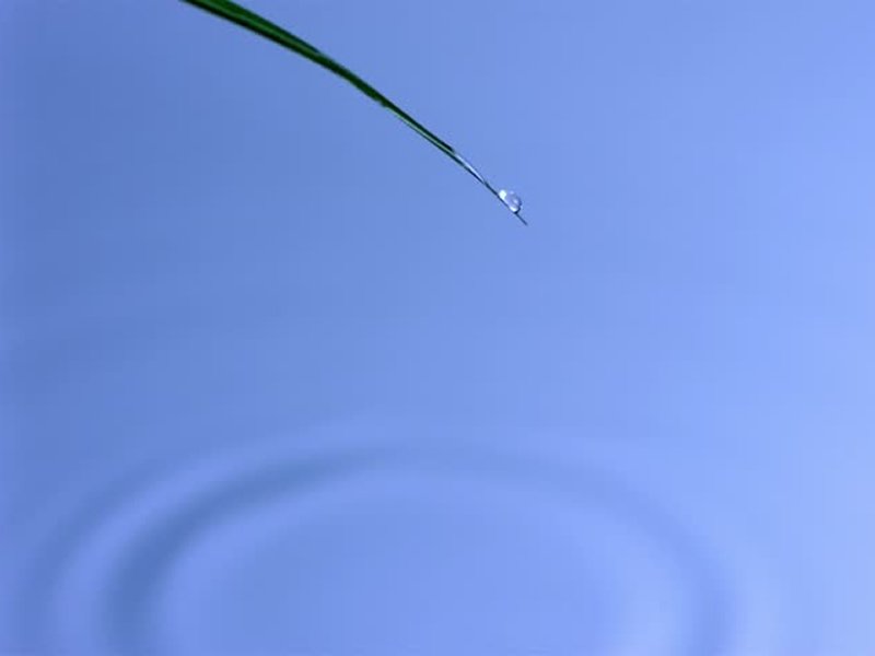 City Administration Looking at Idea of Bottled Water Ban dlvr.it/PM2fYC https://t.co/4yMZR2N5Yi