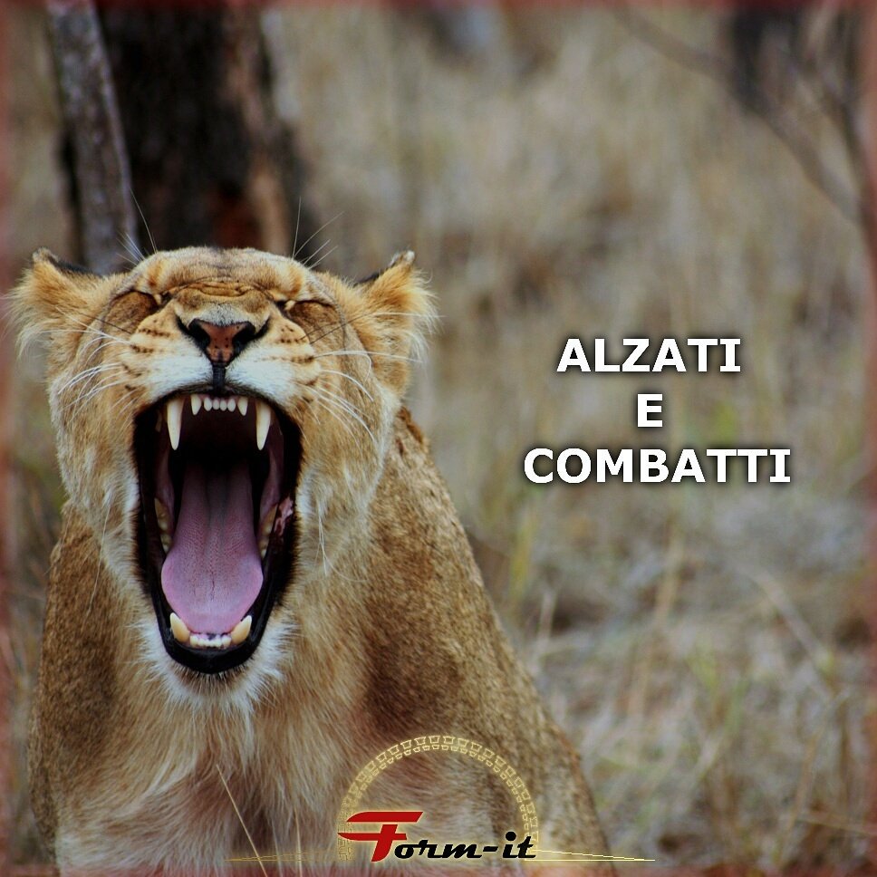 FormitOfficial's tweet image. @FormitOfficial Credi in te stesso, sempre.