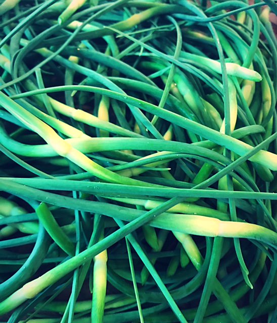 #PizzaTuesday special: garlic scape pesto, mushrooms, cherry toms, grilled artichokes + fresh chevre. $19.95 for a pizza + beer/gl wine YA!