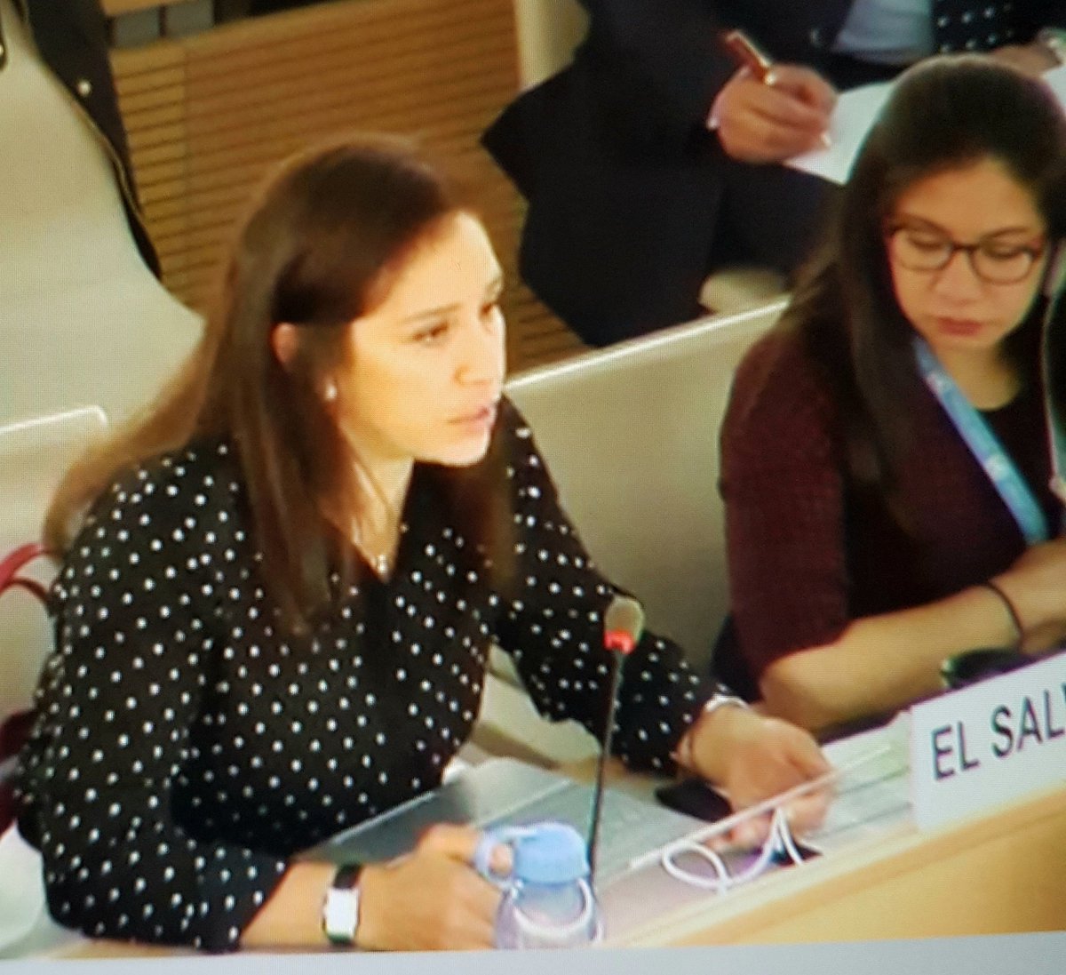 35th session of the Human Rights Council, Delegation of El Salvador