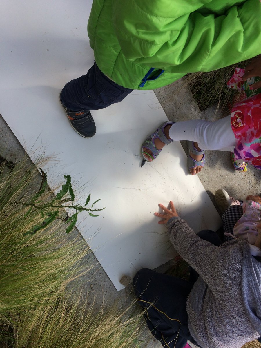 cleofagan's tweet photo. Beautiful drawing with seeds, lemons, hands+feet with Beth O'Halloran+Junior Infants #brackenetns #thestudiothathasnoroof #drawingeverywhere https://t.co/M30spoAvfW