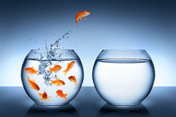 globalingroup_'s tweet photo. Qualities you need to be a stand-out #VA. #GIG
https://t.co/aAnfJQMz5Y https://t.co/HD1ONzfM8u
