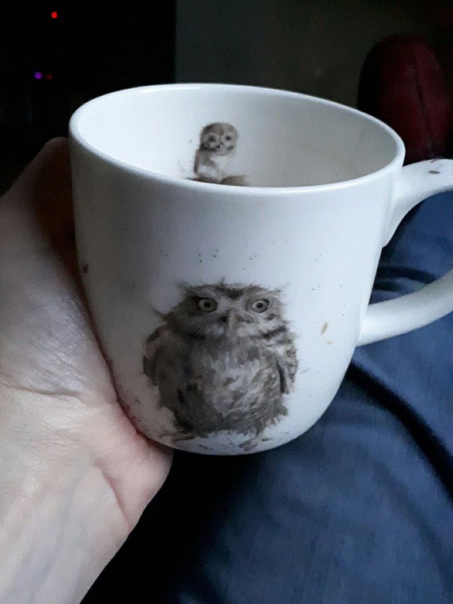 Tech_Ability1's tweet photo. Night owl not after full on day at TechAbility conference. Cuppa, then sleep. Thanks to all our fabulous presenters for inspiring us #atmeet https://t.co/MQU8Dy6vyE