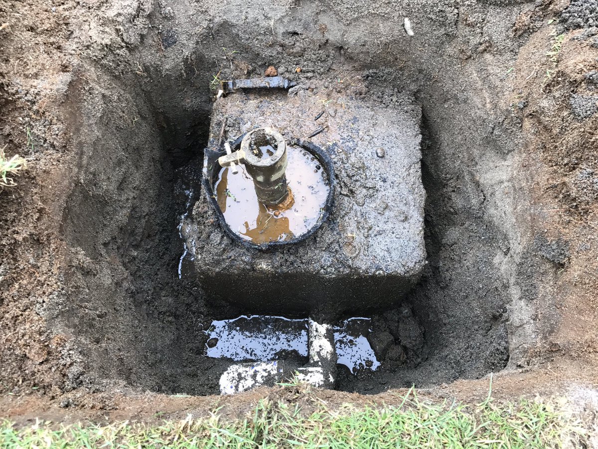 Things you find when you dig up irrigation.