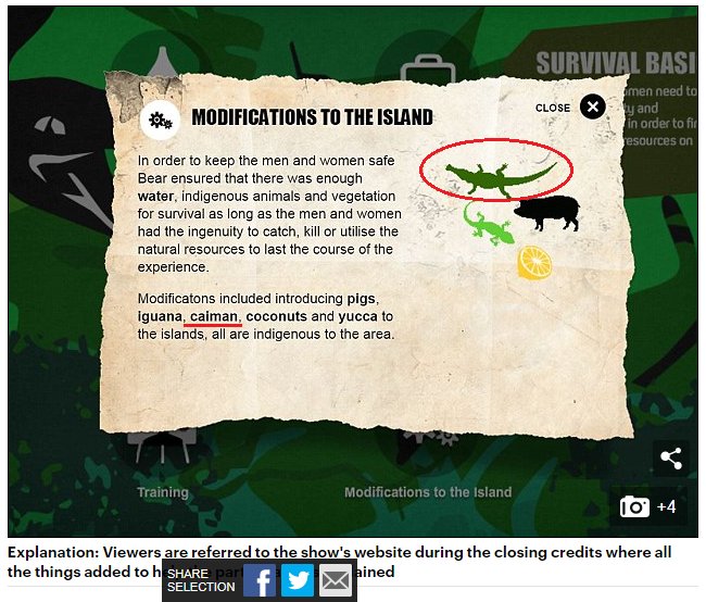 Troll_Cazador's tweet photo. @pgaguado @la_isla Como manda el guión de @TheIsland en #Laisla5 metéis un caimán para matarlo. La productora inglesa reconoce la FARSA https://t.co/DVn3jD1voC https://t.co/nrCXGNvNM6