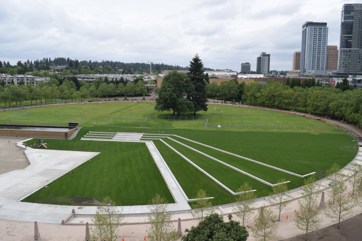 Bellevue Downtown Park Movies